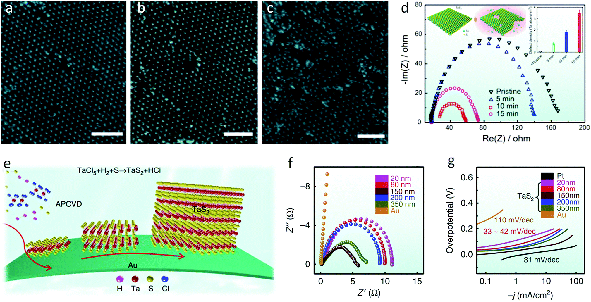 TMD-based highly efficient electrocatalysts developed by