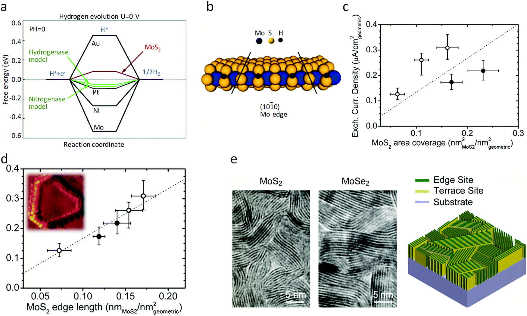 TMD-based highly efficient electrocatalysts developed by