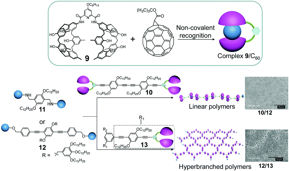 Molecular Tweezers: Supramolecular Hosts with Broad-Spectrum