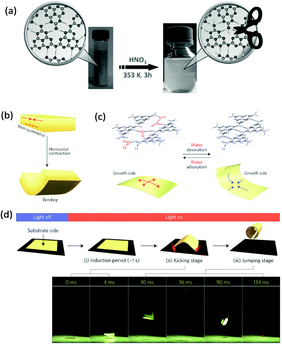 Molecular engineering of polymeric carbon nitride: advancing