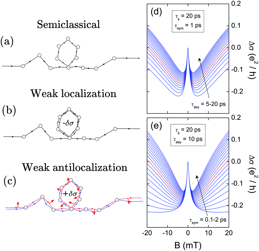 Robust weak antilocalization due to spin-orbital entanglement in