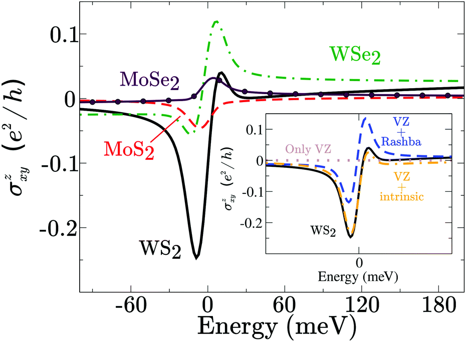 Spin transport in graphene/transition metal dichalcogenide