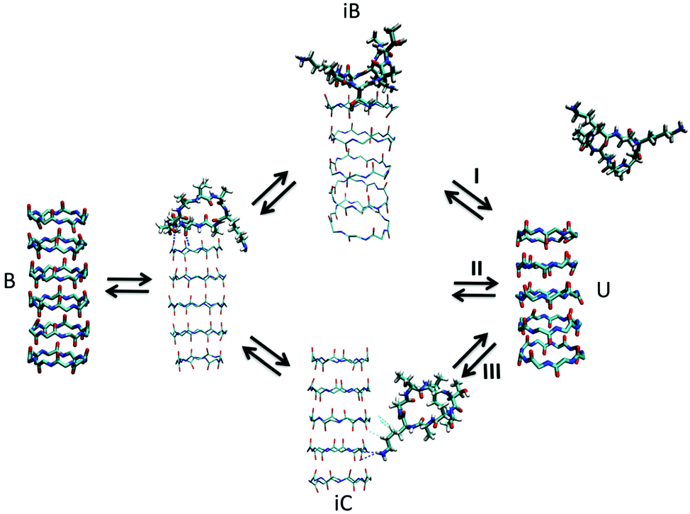 Molecular simulations of self-assembling bio-inspired supramolecular  systems and their connection to experiments - Chemical Society Reviews (RSC  Publishing) DOI:10.1039/C8CS00040A