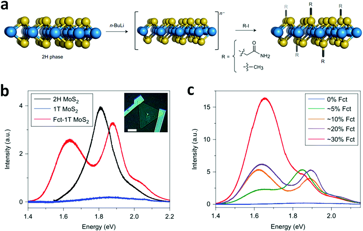 The organic–2D transition metal dichalcogenide The organic–2D transition metal dichalcogenide