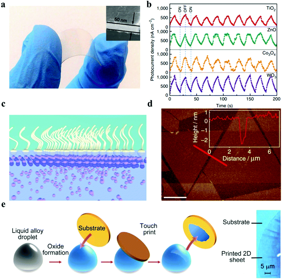 2D library beyond graphene and transition metal dichalcogenides: a 