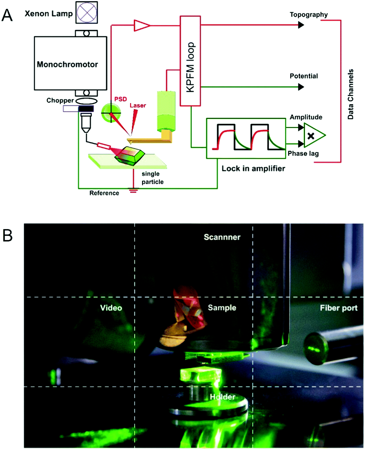 ラグ From Stable Radicals to Thermally Robust High-Spin