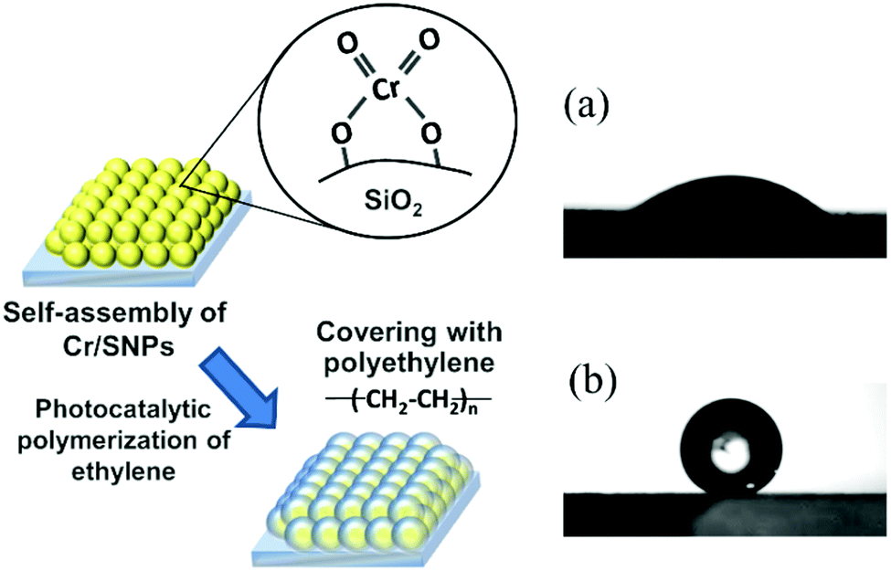 Single-site and nano-confined photocatalysts designed in porous 