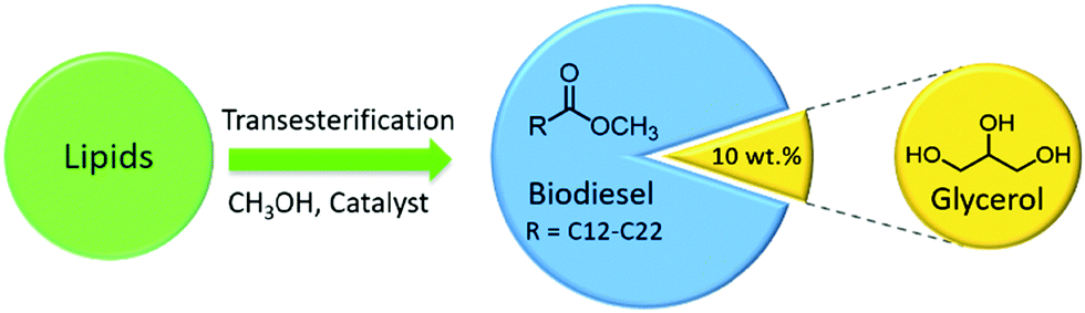 Eco-Friendly Homo- and Cross-Etherification of Benzyl Alcohols Catalyzed by  Iron(II/III) Chloride in Propylene Carbonate as a Green and Recyclable  Solvent