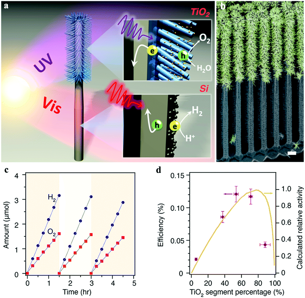 Core–shell structured titanium dioxide nanomaterials for Core–shell structured titanium dioxide nanomaterials for