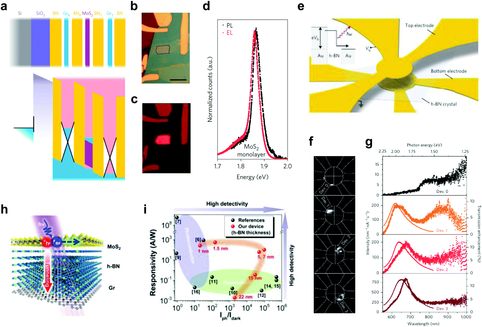 Synthesis of hexagonal boron nitride heterostructures for 2D van