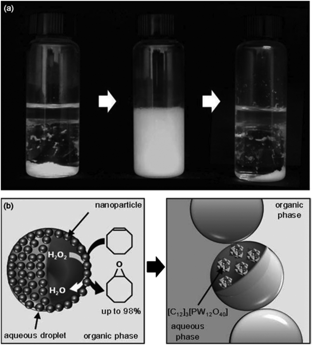 Heterogeneous catalysis by tungsten-based heteropoly compounds 