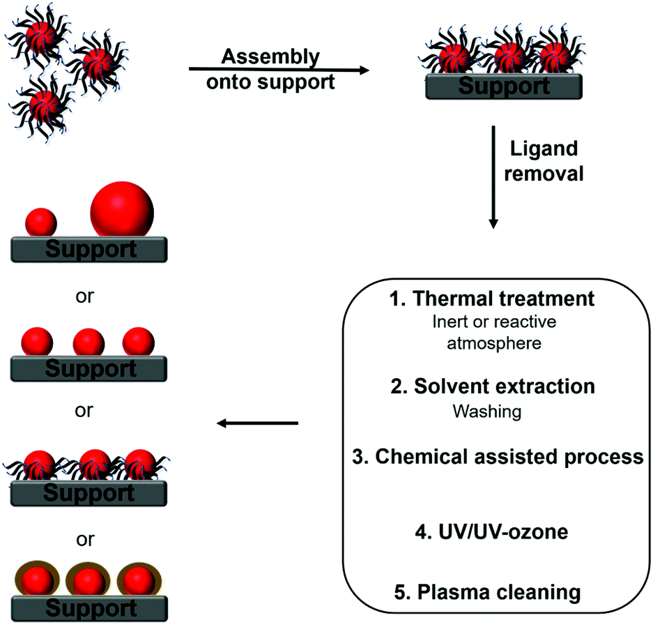 The role and fate of capping ligands in colloidally prepared metal  nanoparticle catalysts - Dalton Transactions (RSC Publishing)  DOI:10.1039/C7DT04728B
