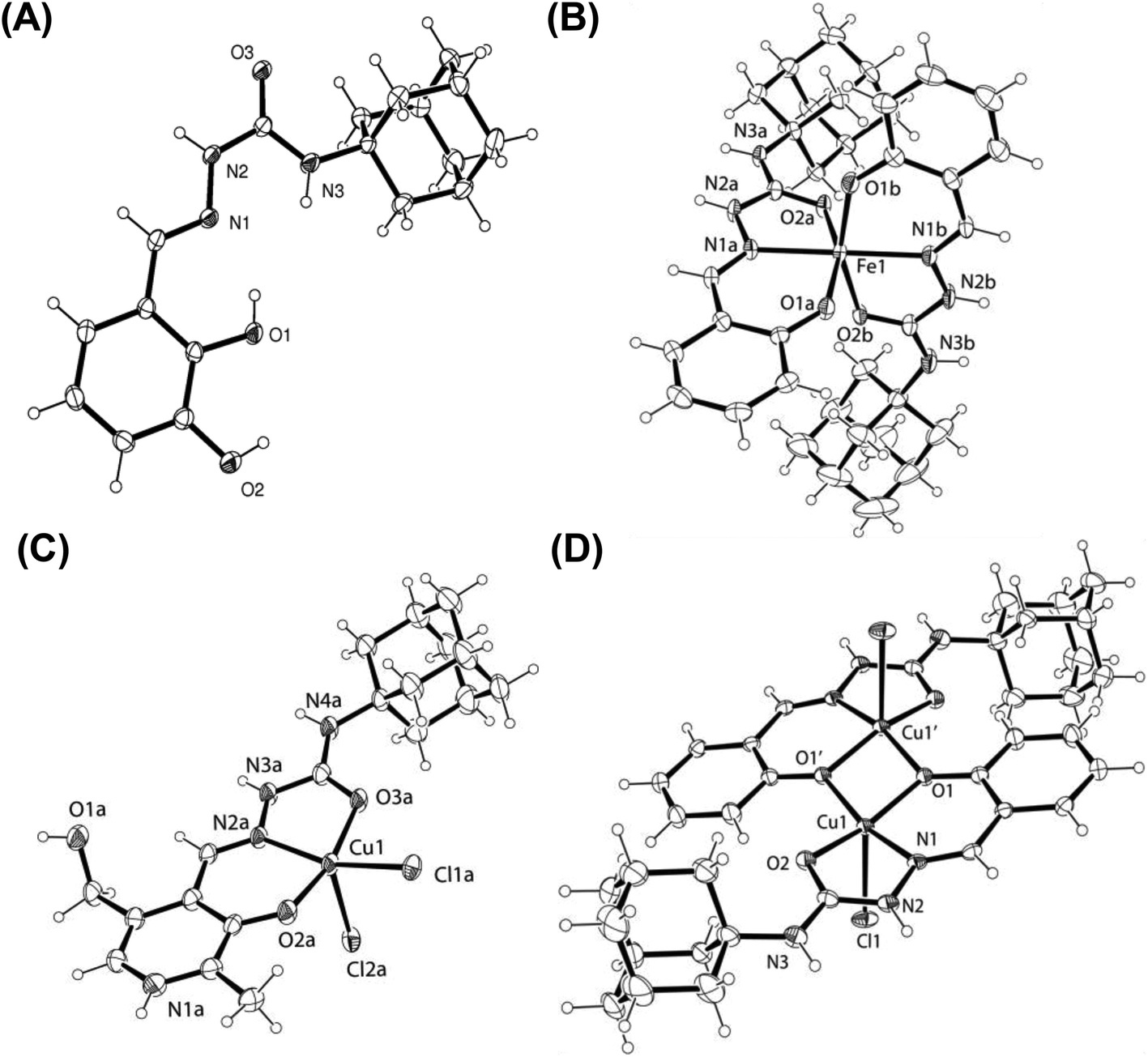 Novel chelators based on adamantane-derived semicarbazones and