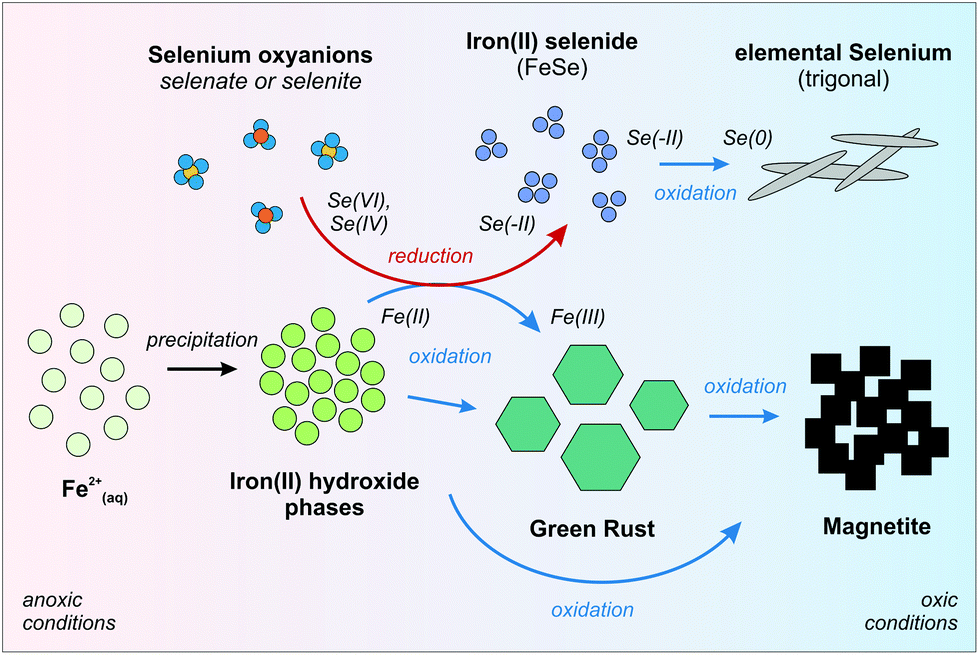 Retention and multiphase transformation of selenium oxyanions during the  formation of magnetite via iron( ii ) hydroxide and green rust - Dalton  Transactions (RSC Publishing) DOI:10.1039/C8DT01799A