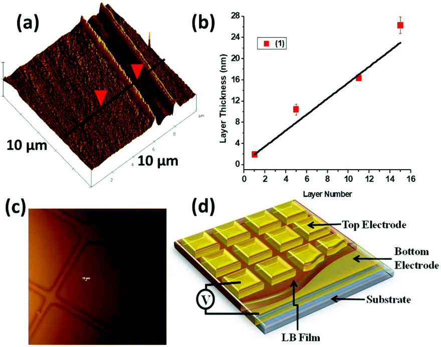 Molecular rectifiers based on five-coordinate iron( iii 