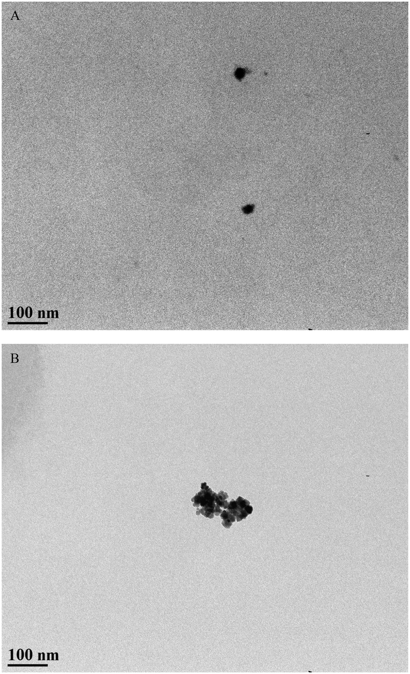 Cerium Oxide CeO2 Nanoparticles / Nanopowder (CeO2, 99.97%, 100nm)