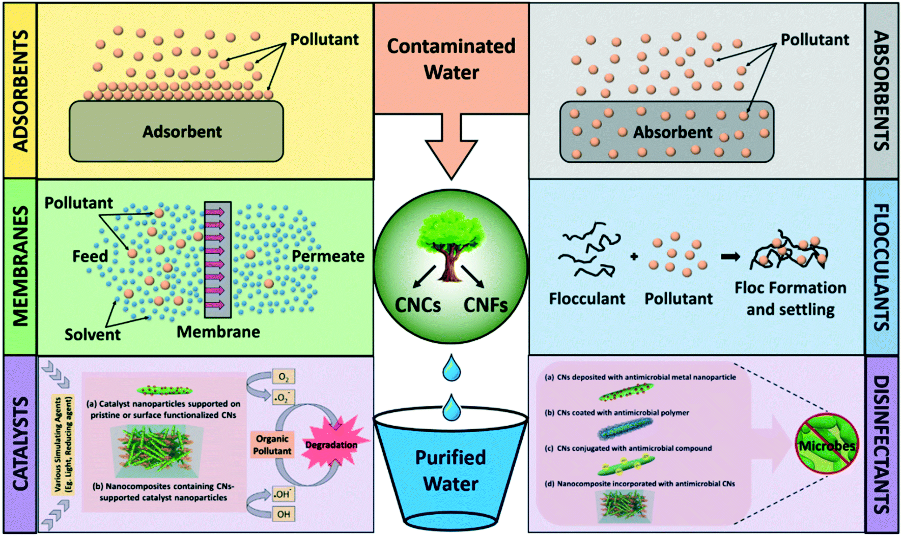 Cellulose nanomaterials: promising sustainable nanomaterials for  application in water/wastewater treatment processes - Environmental  Science: Nano (RSC Publishing) DOI:10.1039/C7EN01029J