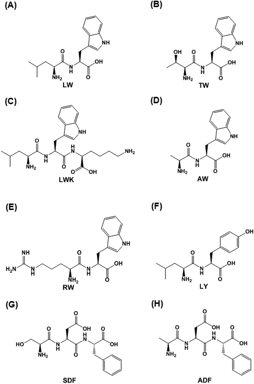 In Silico Assessment And Structural Characterization Of Antioxidant Peptides From Major Yolk Protein Of Sea Urchin Strongylocentrotus Nudus Food Function Rsc Publishing Doi 10 1039 C8fob