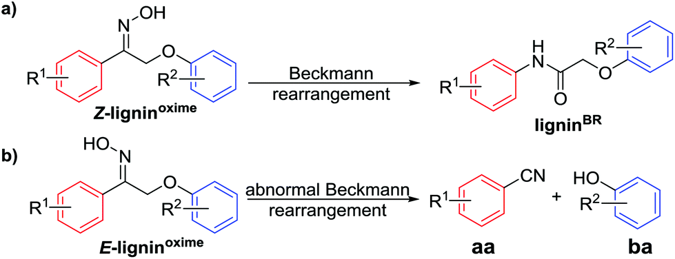 Transformation of lignin model compounds to N -substituted via Beckmann rearrangement - Green Chemistry (RSC Publishing) DOI:10.1039/C8GC00920A