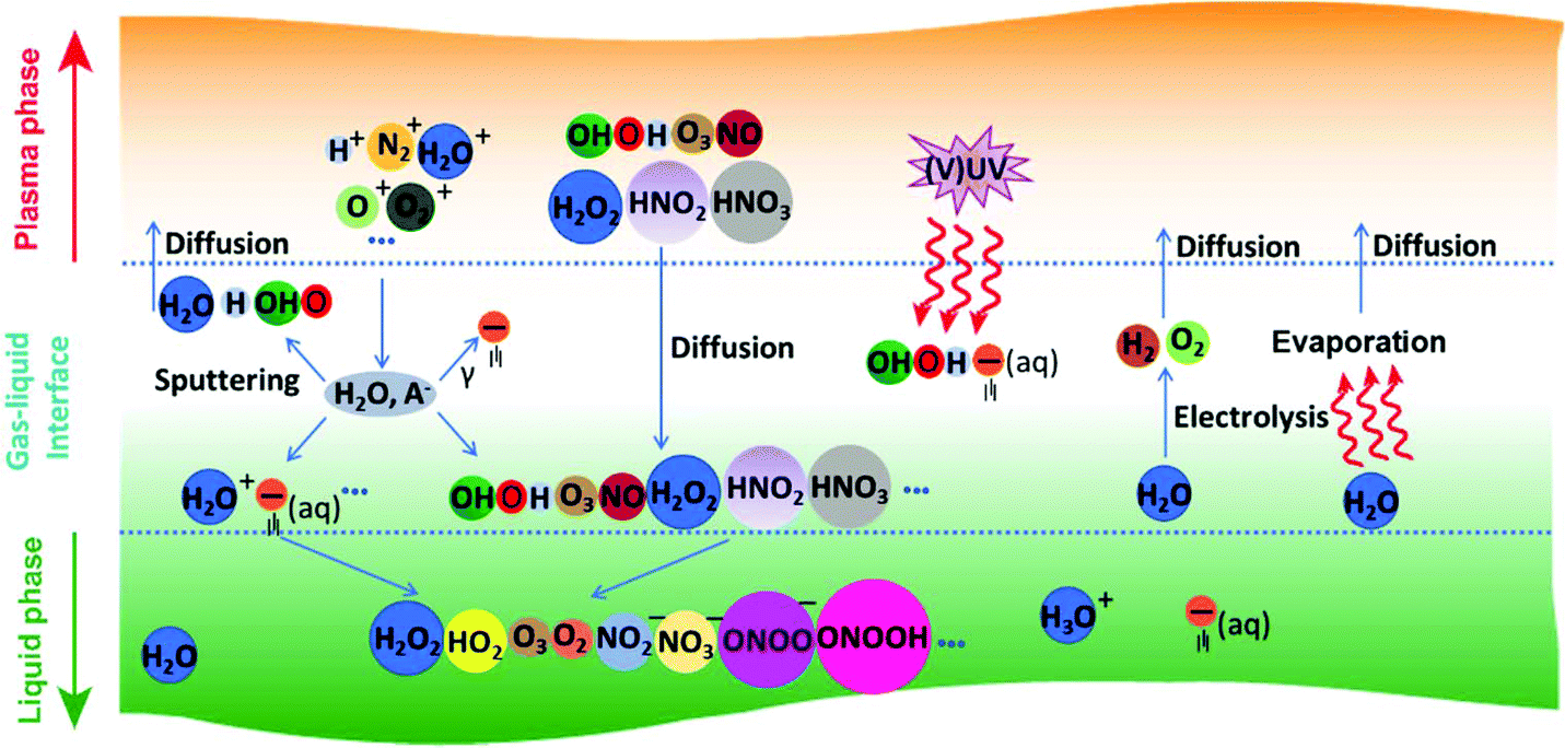 Cold Atmospheric Plasma Activated Water As A Prospective Disinfectant The Crucial Role Of Peroxynitrite Green Chemistry Rsc Publishing Doi 10 1039 C8gc02800a