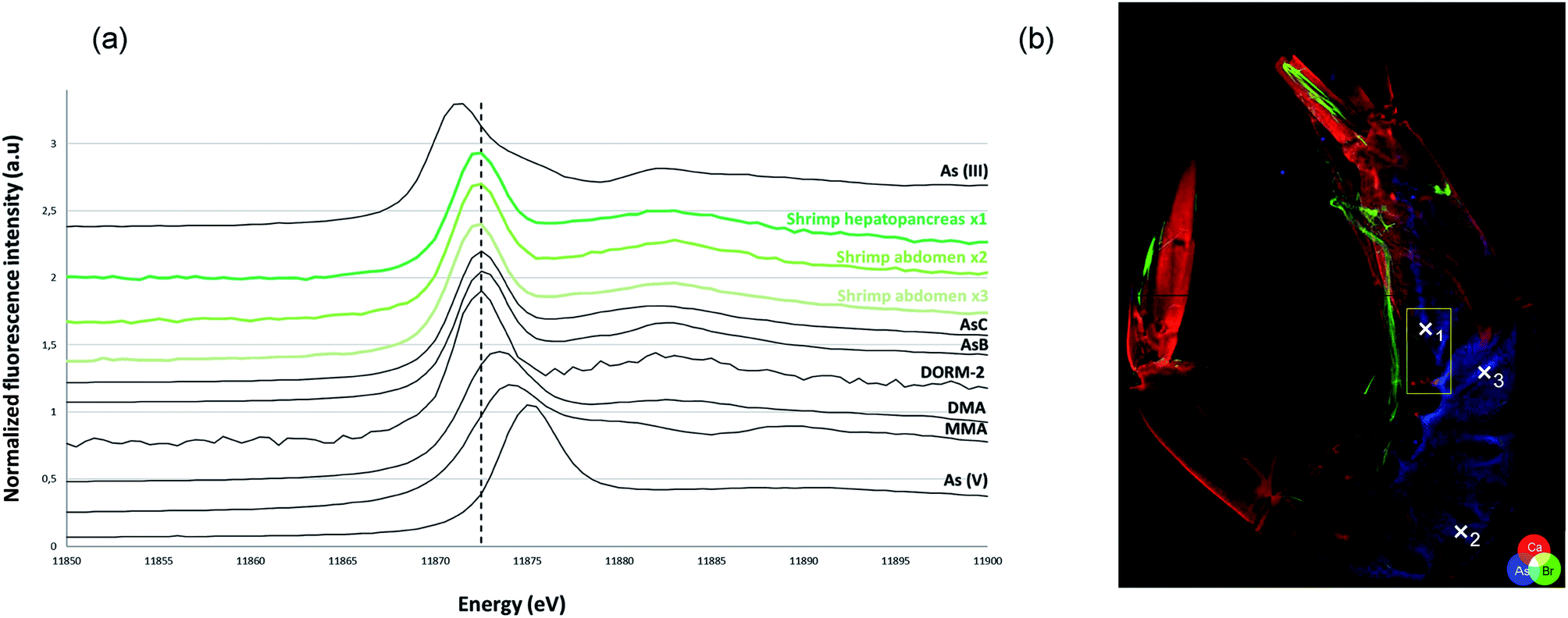 Characterization Of Arsenic In Dried Baby Shrimp Acetes Sp Using Synchrotron Based X Ray Spectrometry And Lc Coupled To Icp Ms Ms Journal Of Analytical Atomic Spectrometry Rsc Publishing Doi 10 1039 C8jah