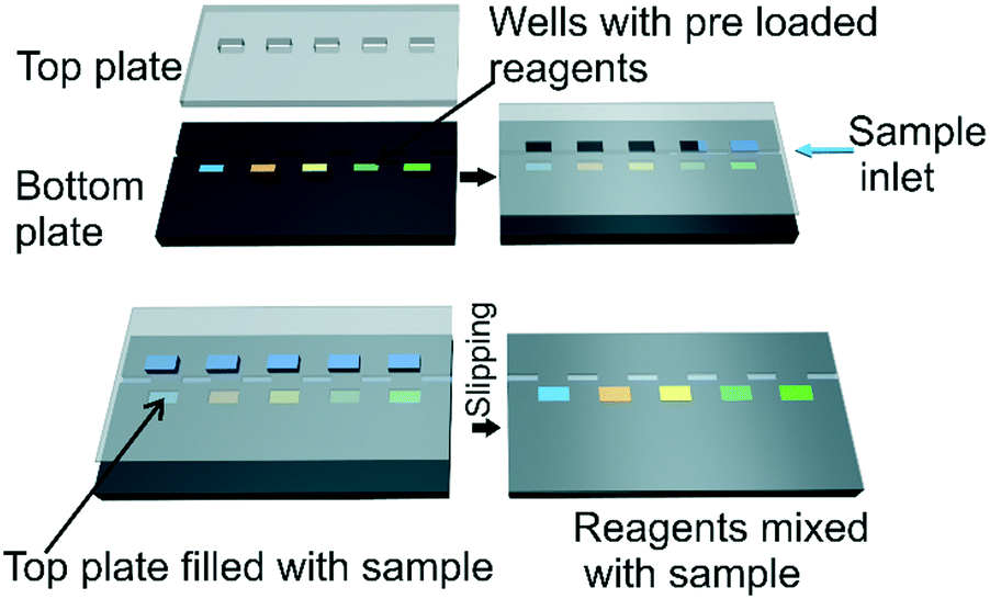 Digital polymerase chain reaction technology – recent Digital polymerase chain reaction technology – recent