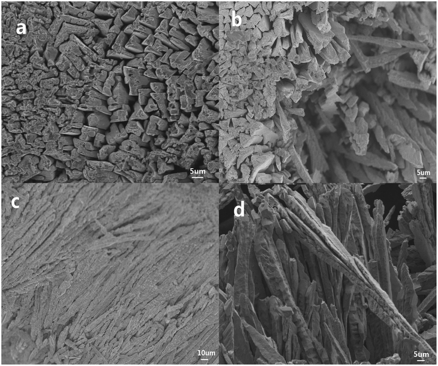 Construction of needle like crystalline AgO ordered structures