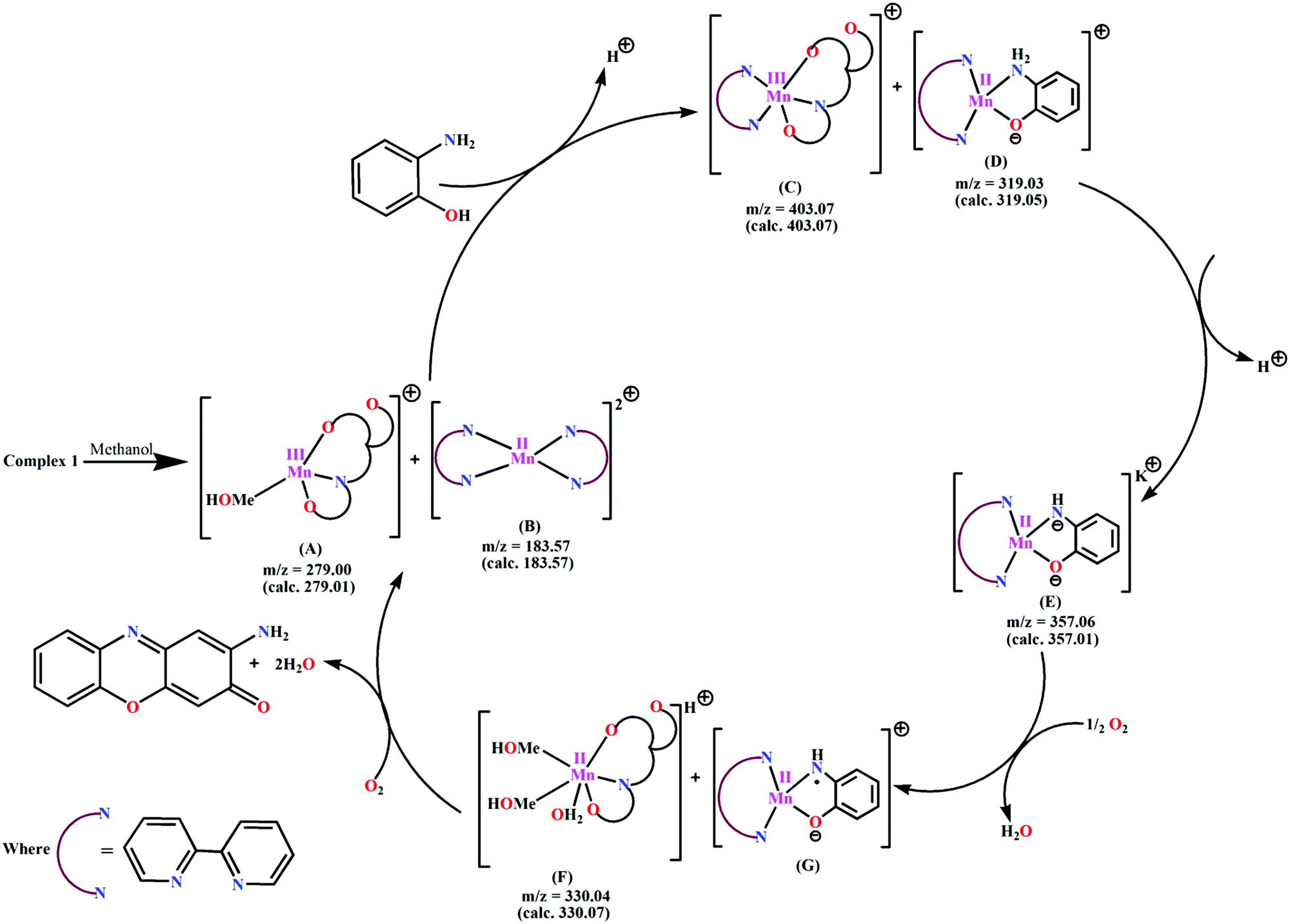 The First Alternating Mn Ii Mn Iii 1d Chain Structure Magnetic Properties And Catalytic Oxidase Activities New Journal Of Chemistry Rsc Publishing Doi 10 1039 C8nje