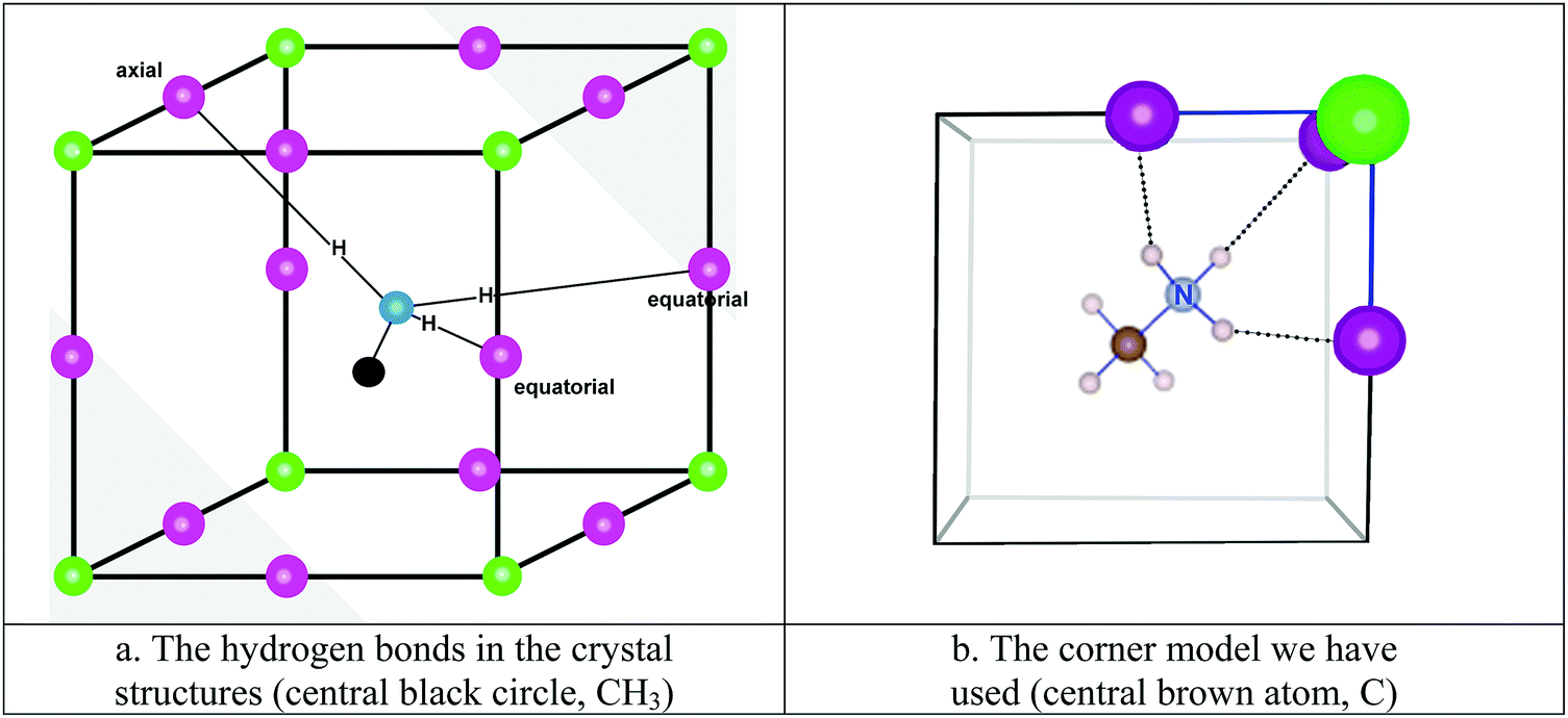 A theoretical study of perovskites related to CH 3 NH 3 PbX 3 (X 