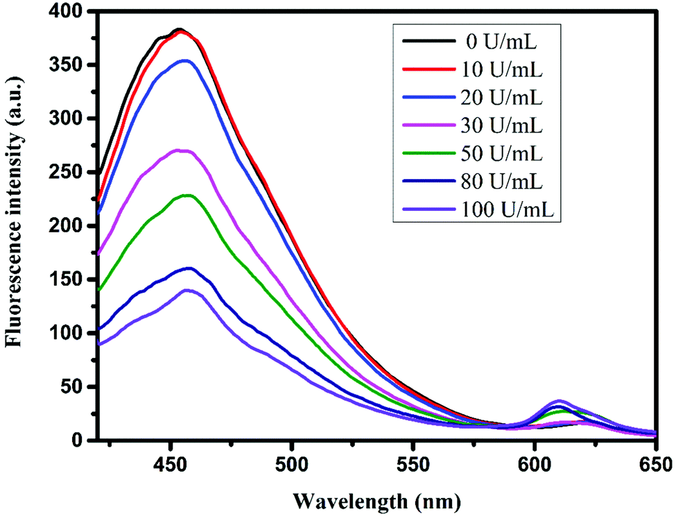 a Fluorescence emission spectra of NMM (400 nM) / ONS (300 nM) / Ag(I)