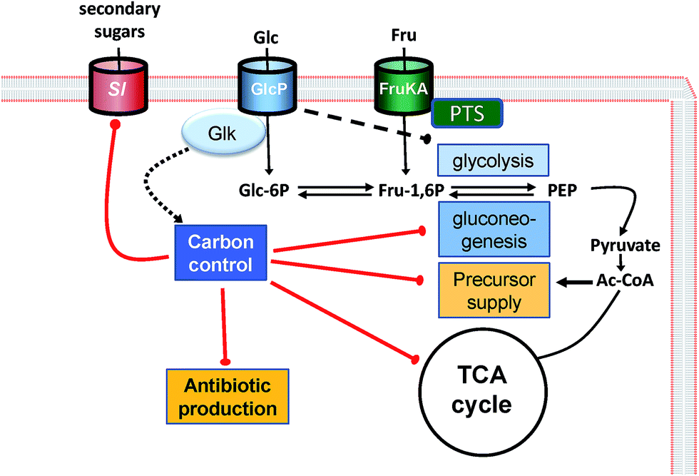 Remote Switch Connections Dun Schneider