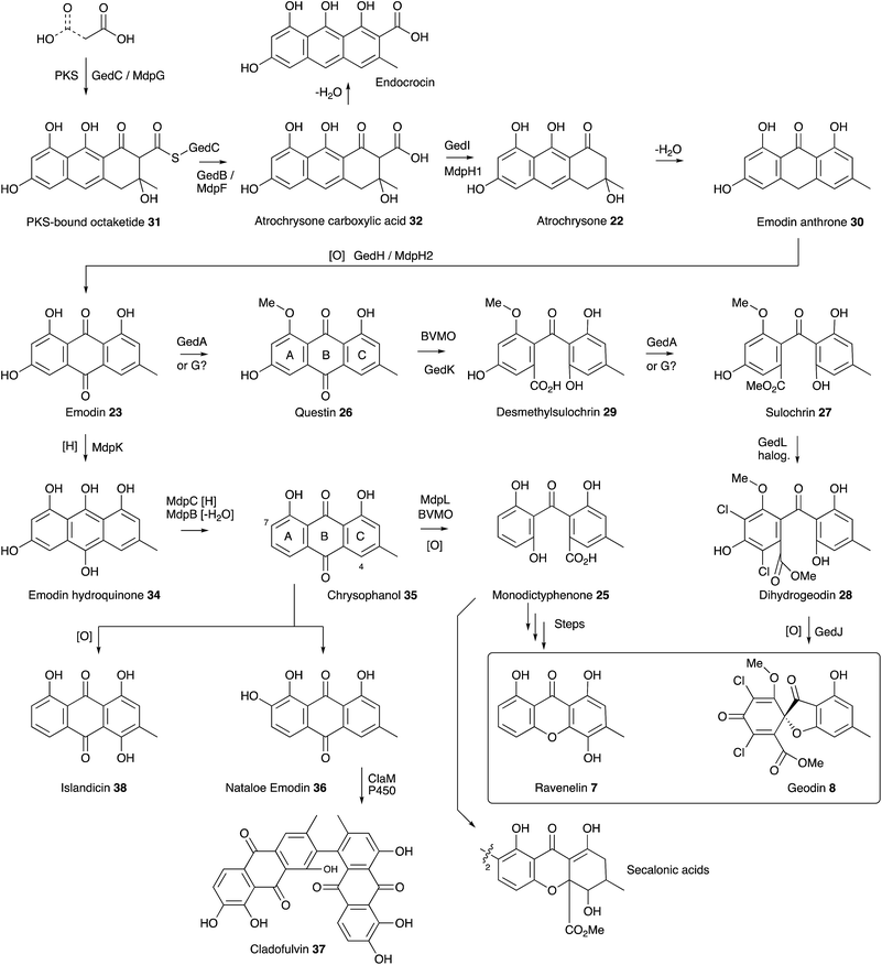 image file: c8np00021b-s3.tif