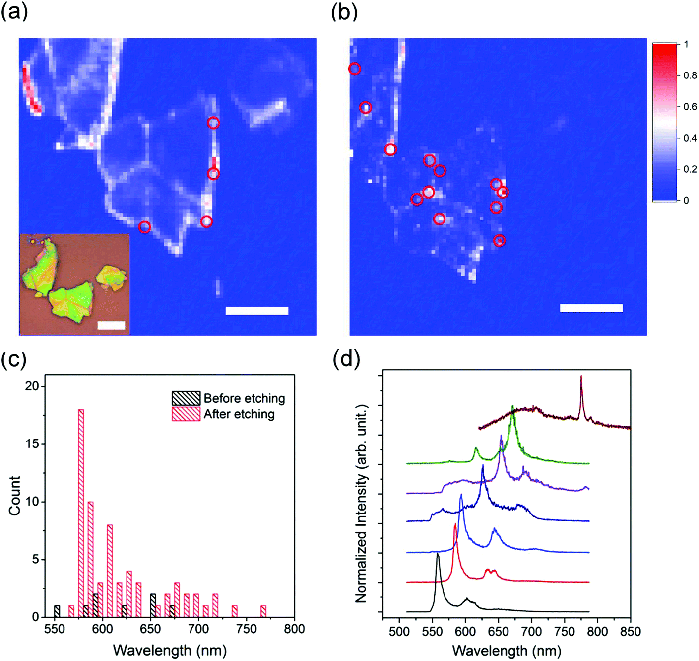 Prolonged photostability in hexagonal boron nitride quantum emitters