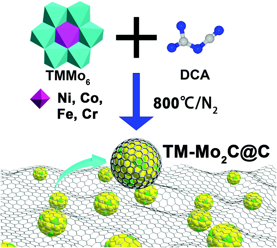 Electrocatalytic performance of ultrasmall Mo 2 C affected by 