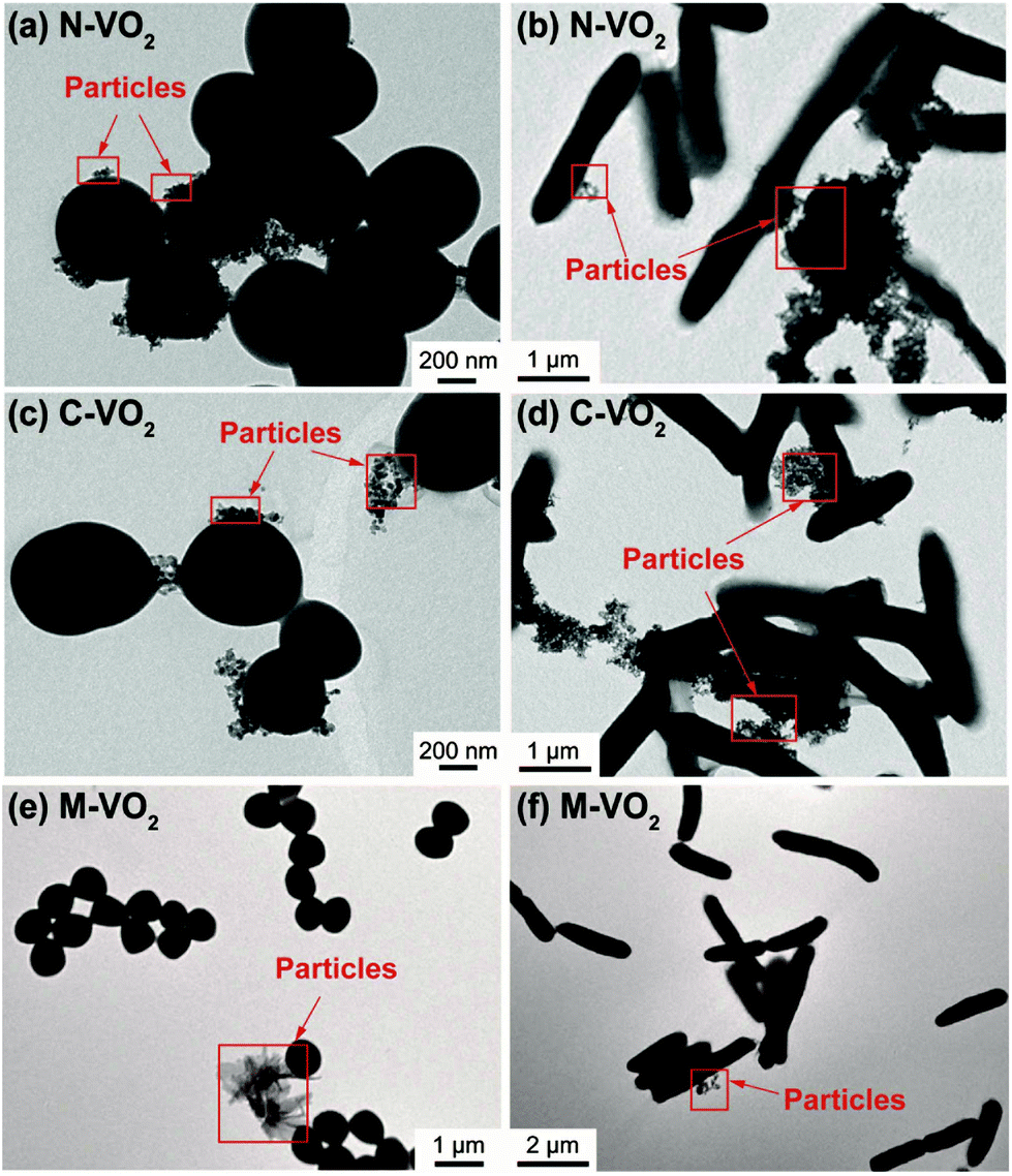 Toxicity Assessment And Mechanistic Investigation Of Engineered Monoclinic Vo 2 Nanoparticles Nanoscale Rsc Publishing Doi 10 1039 C8nrk