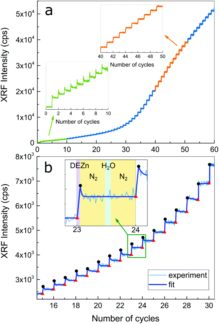 The initial stages of ZnO atomic layer deposition on atomically 