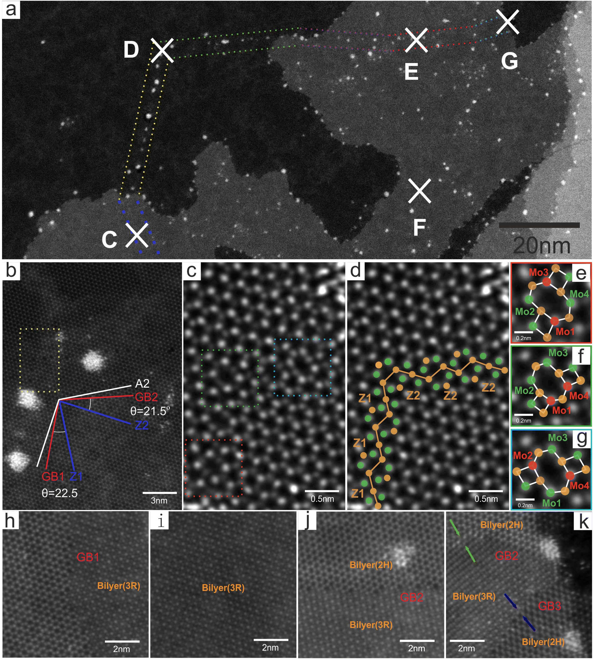 Controlled Preferential Oxidation of Grain Boundaries in Monolayer Tungsten  Disulfide for Direct Optical Imaging