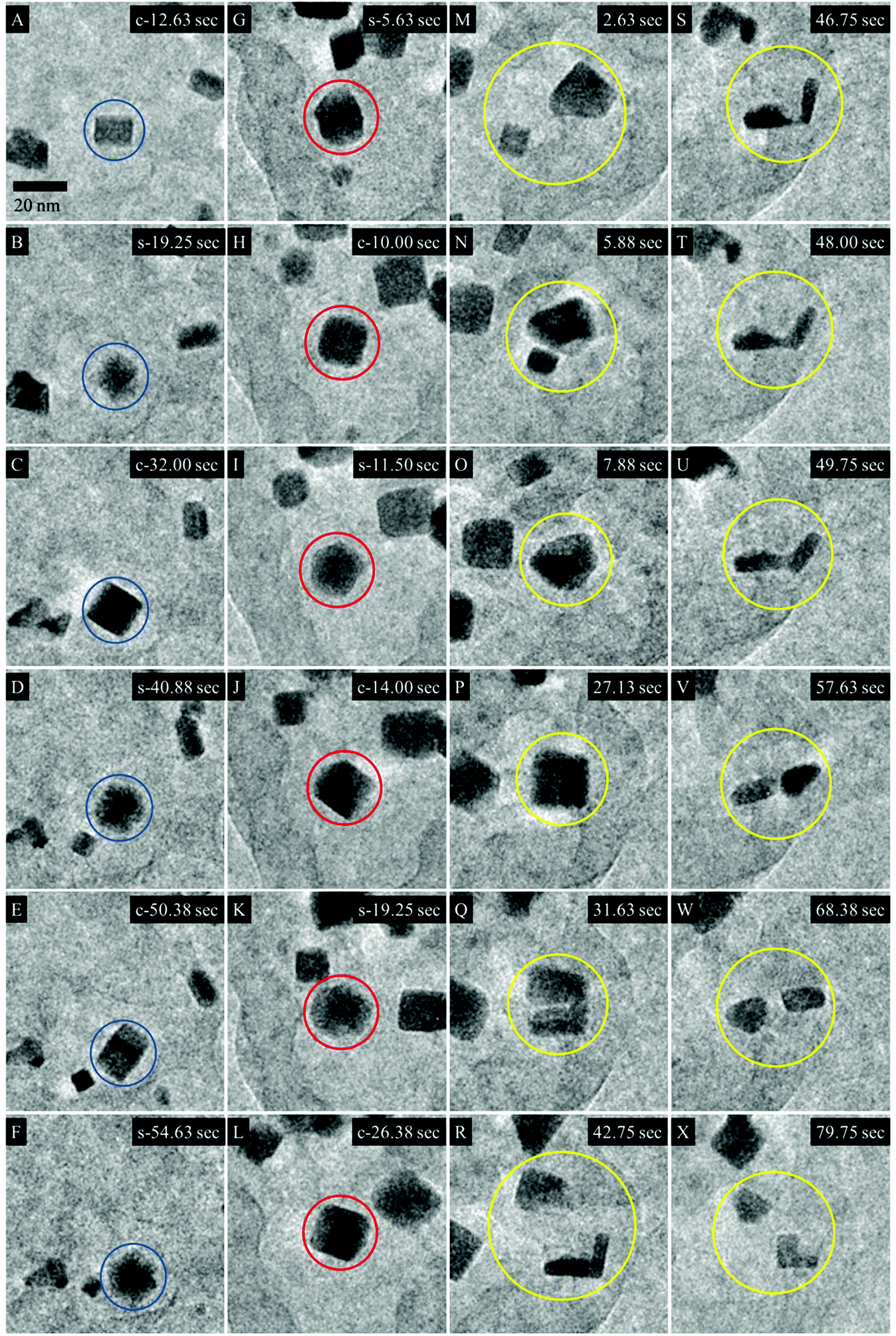 Transformation Of Carbon Supported Ptni Octahedral - 