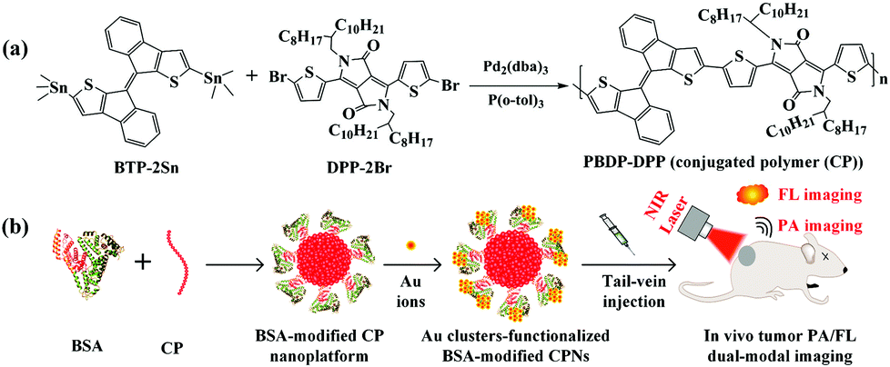 Protein Modified Conjugated Polymer Nanoparticles With Strong Near Infrared Absorption A Novel Nanoplatform To Design Multifunctional Nanoprobes For Nanoscale Rsc Publishing Doi 10 1039 C8nr06197a