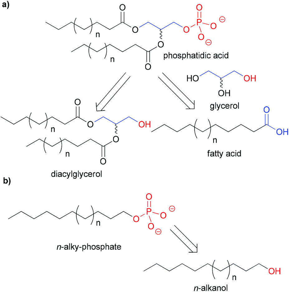 phosphate ester synthesis