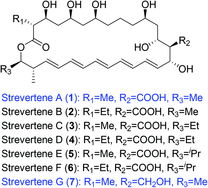 Studies Toward The Synthesis Of Strevertenes A And G Stereoselective Construction Of C 1 C 19 Segments Of The Molecules Organic Biomolecular Chemistry Rsc Publishing Doi 10 1039 C8oba