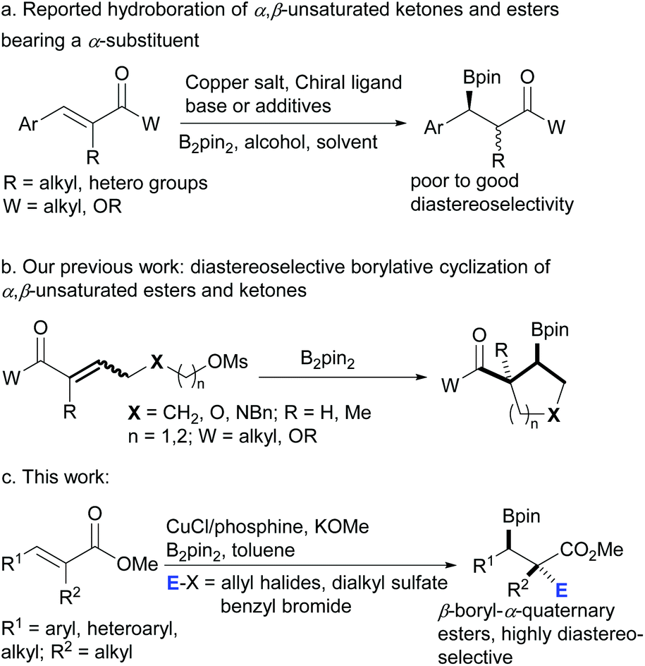 Copper Catalyzed Diastereoselective Synthesis Of B Boryl A Quaternary Carbon Carboxylic Esters Organic Biomolecular Chemistry Rsc Publishing Doi 10 1039 C8obc