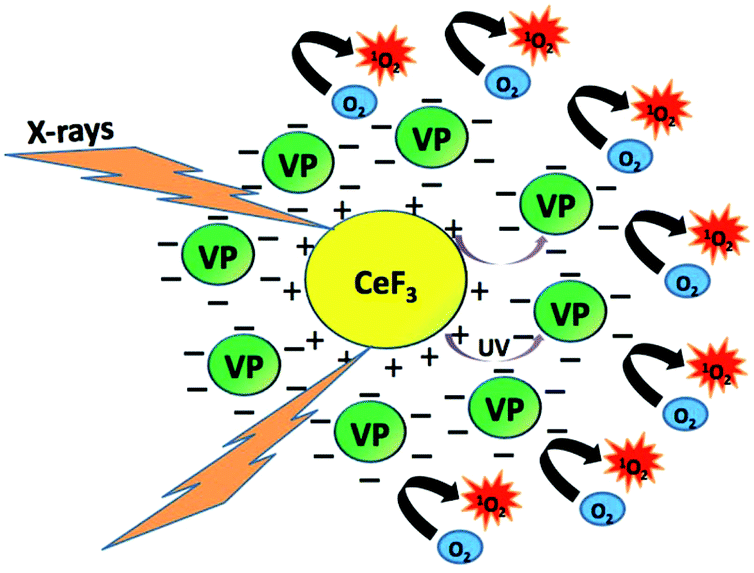 Using X Rays In Photodynamic Therapy An Overview Photochemical Photobiological Sciences Rsc Publishing Doi 10 1039 C8ppj