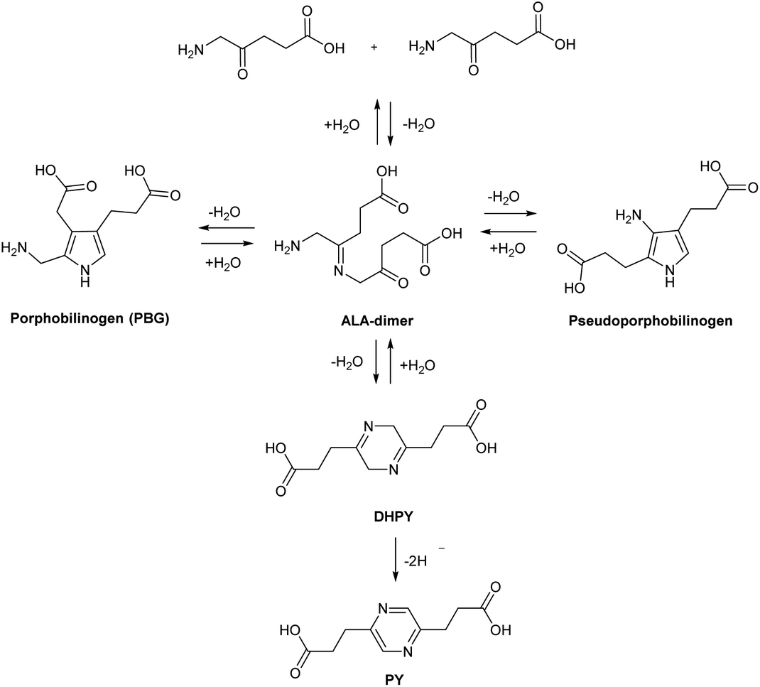 Chemical Approaches For The Enhancement Of 5 Aminolevulinic Acid Based Photodynamic Therapy And Photodiagnosis Photochemical Photobiological Sciences Rsc Publishing Doi 10 1039 C8pp00362a