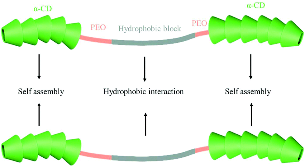 Cyclodextrin-based host–guest supramolecular hydrogel and its 