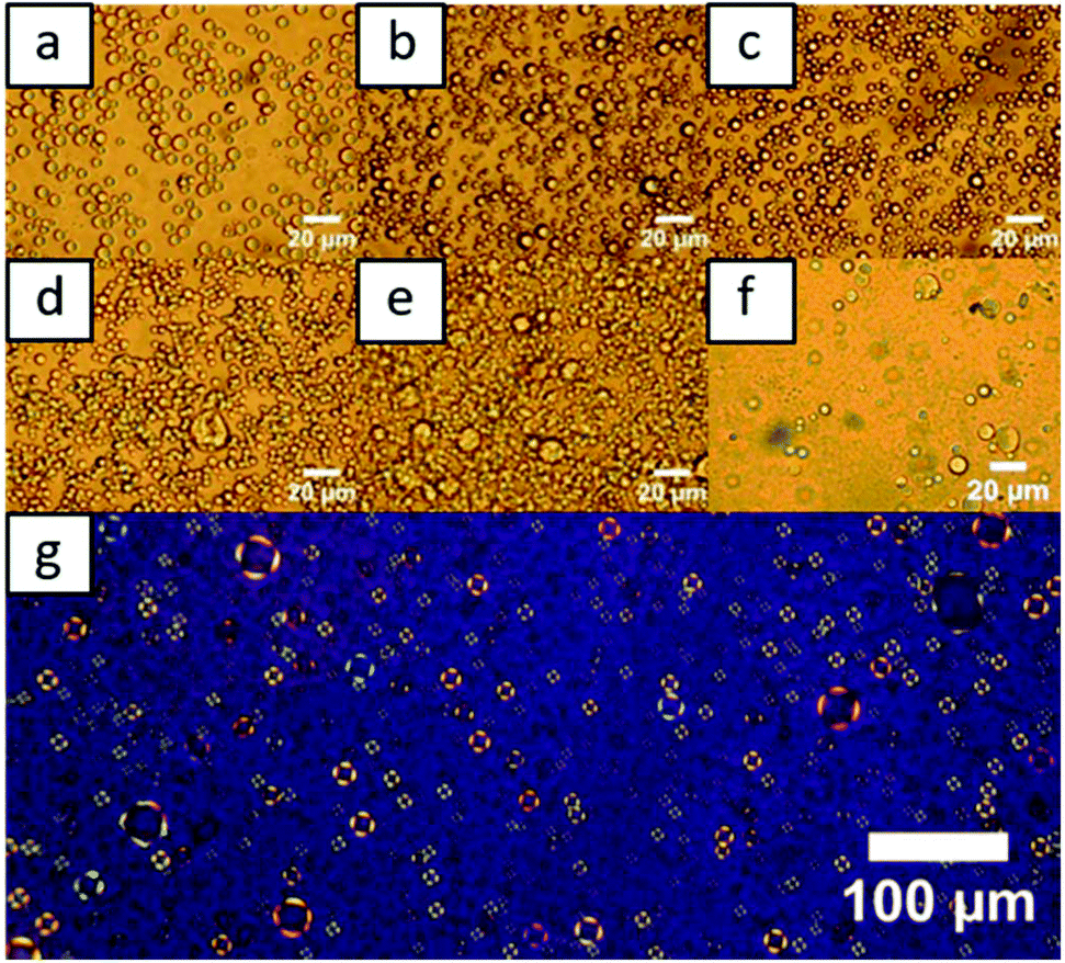 A New Strategy To Elaborate Polymer Composites Via Pickering Emulsion Polymerization Of A Wide Range Of Monomers Polymer Chemistry Rsc Publishing Doi 10 1039 C8pyf