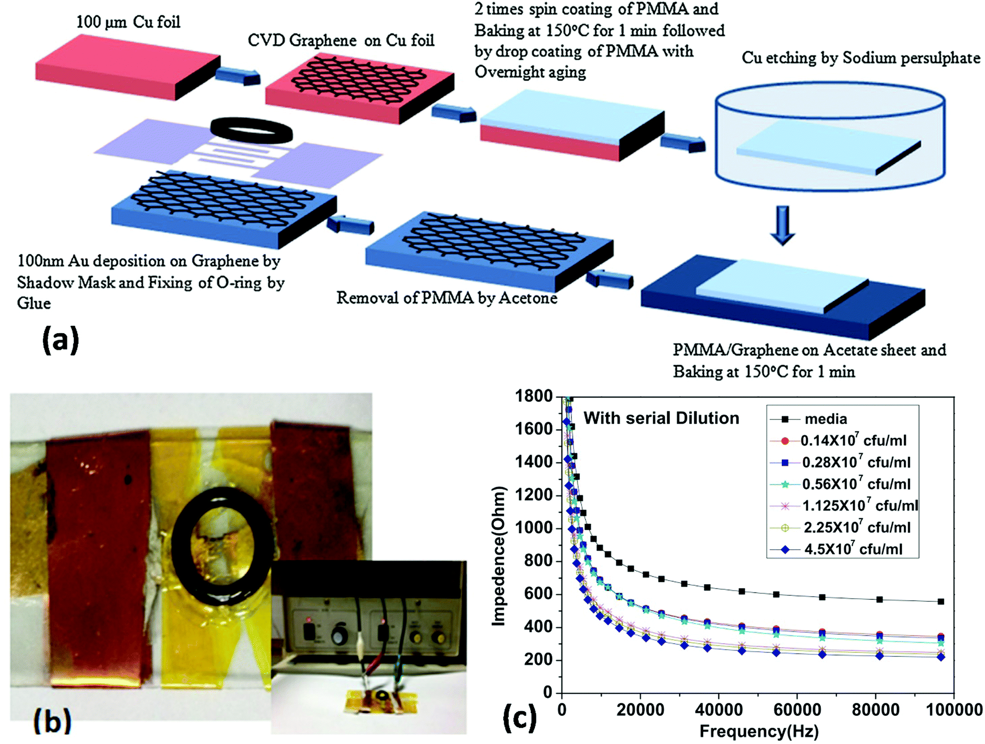 Engineering Two Dimensional Layered Nanomaterials For Wearable Biomedical Sensors And Power Devices Materials Chemistry Frontiers Rsc Publishing Doi 10 1039 C8qmd