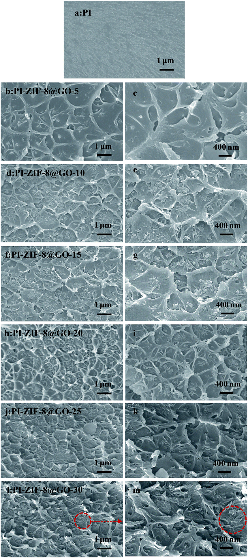Synergistic Effects Of Zeolite Imidazole Framework Graphene Oxide Composites In Humidified Mixed Matrix Membranes On Co 2 Separation Rsc Advances Rsc Publishing Doi 10 1039 C7rah
