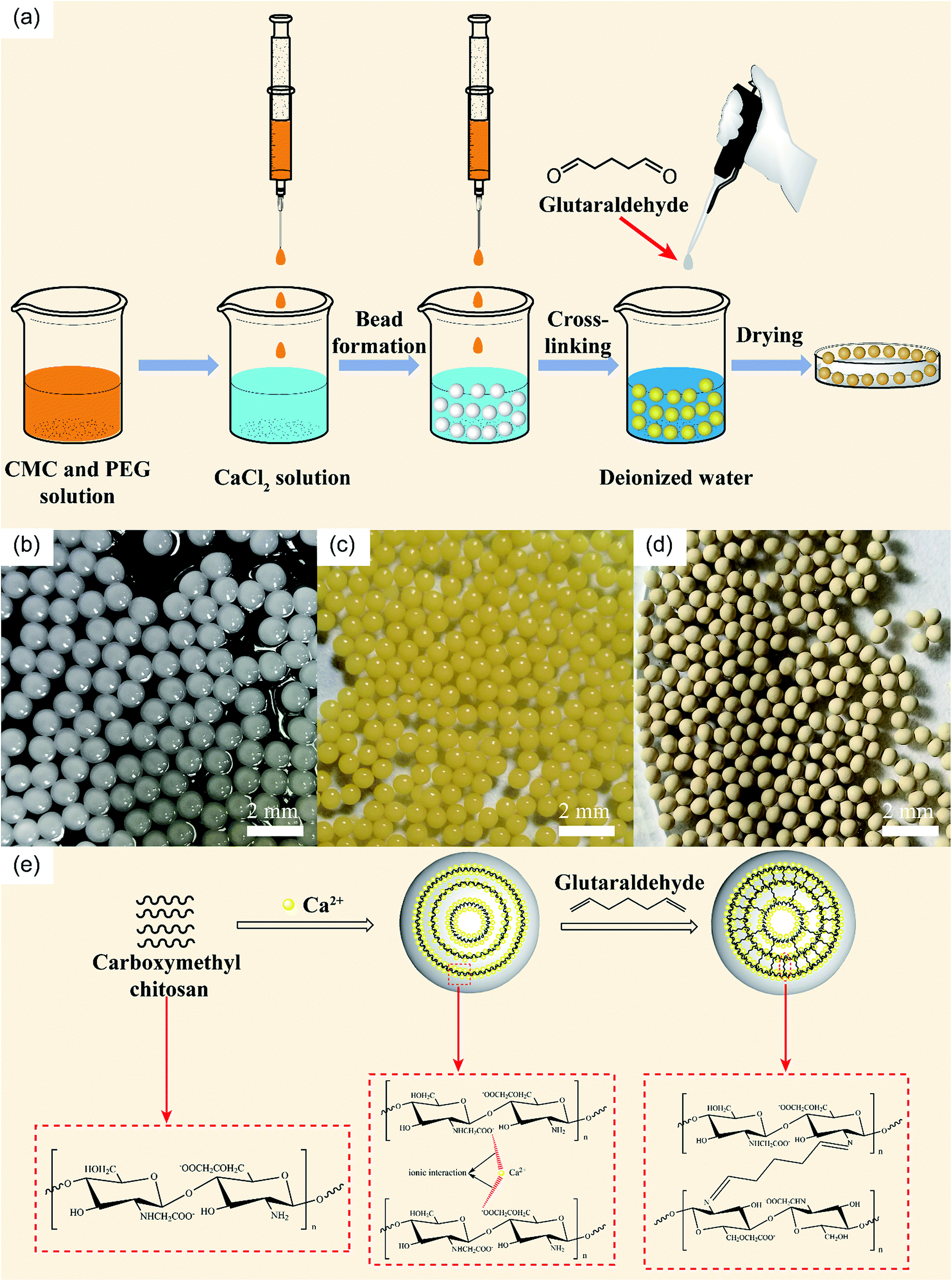 Fast Removal Of Co Ii From Aqueous Solution Using Porous Carboxymethyl Chitosan Beads And Its Adsorption Mechanism Rsc Advances Rsc Publishing Doi 10 1039 C7rac