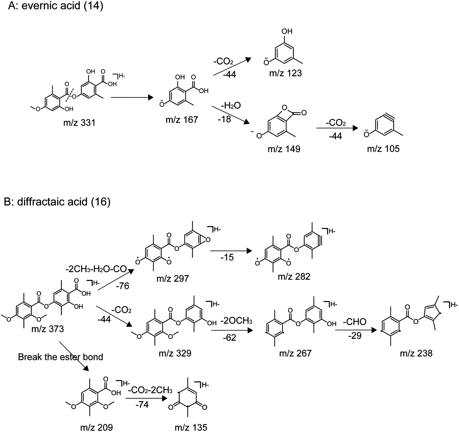 OUPLC-Q-TOF/MS chromatograms and annotation of the molecular